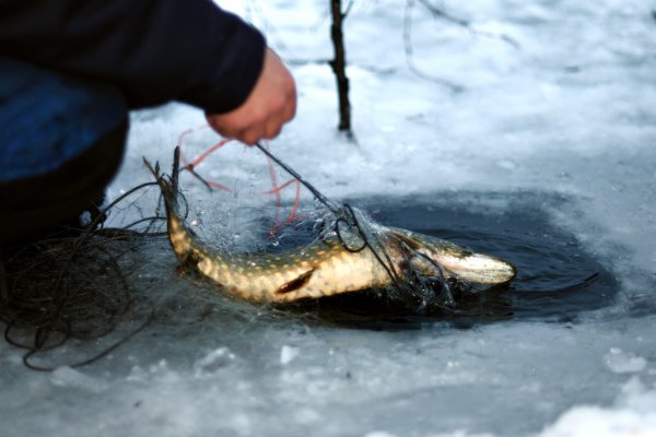 Eisfischen als alte Tradition | &copy;&nbsp;Wilderness Hotels & Safaris