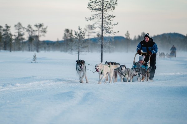Die Husky-Safari darf nicht fehlen | &copy;&nbsp;Wilderness Hotels & Safaris