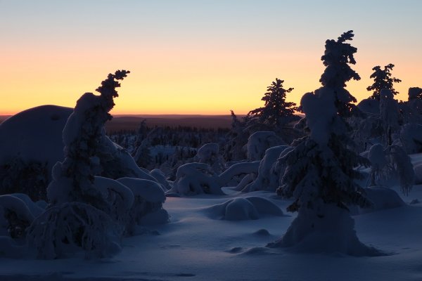 Der Reiz des Dunkeln | &copy;&nbsp;Anne und Holger Goettlicher