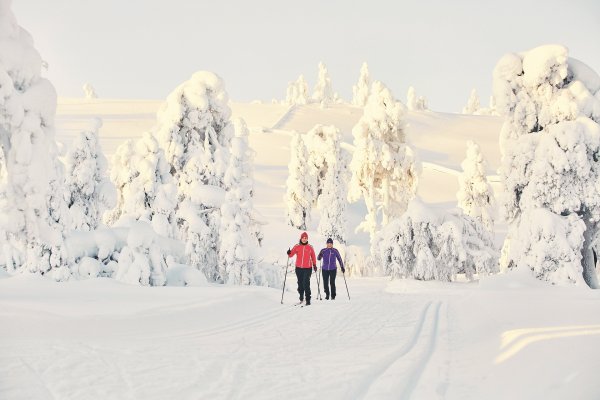 La piste de ski de fond traverse la forêt enchantée ! | &copy;&nbsp;Luosto