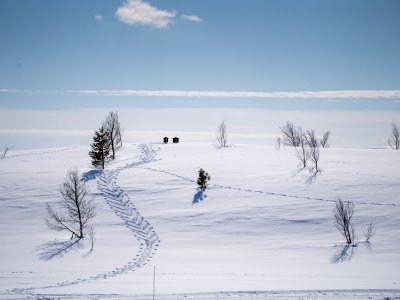 Winterparadies mit Schneesicherheit