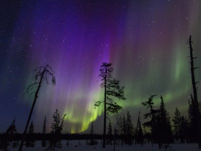 Aurora Borealis