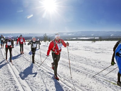 Auf königlichen Spuren