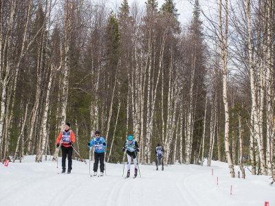 Entlang herrlicher Birkenwälder