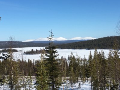 Panorama Pallasgebiet