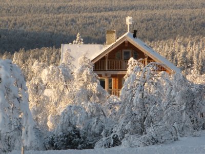 Emergent d'un bois, votre chalet
