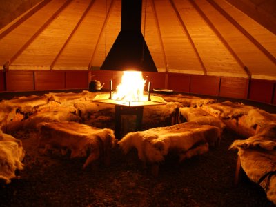 Chaleur et confort autour du feu