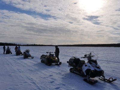 Quelque part dans le grand Nord