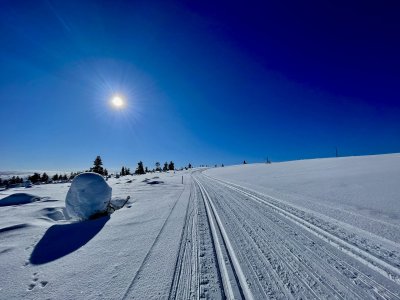 Der Sonne entgegen