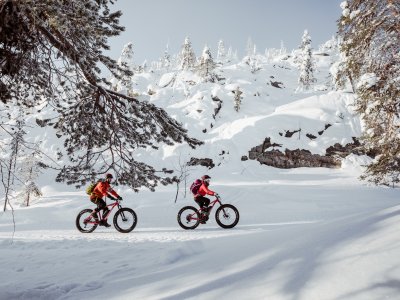 Naturerlebnis mit dem Fatbike
