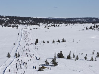Genuss Birkebeiner