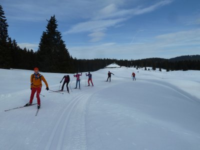 In nostro gruppo in azione