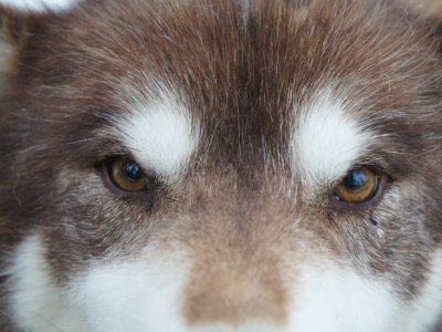 Trop beau !