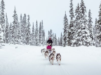 Huskysafari: Die darf nicht fehlen