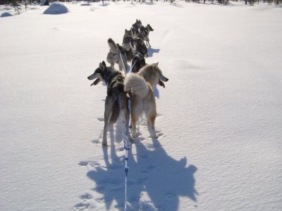 Spuren im endlosen Schnee