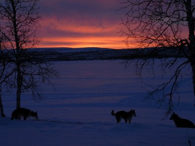 Abendhimmel