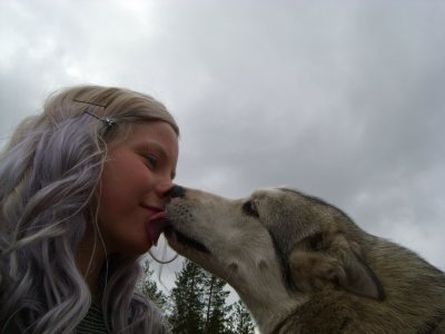 Huskykuss