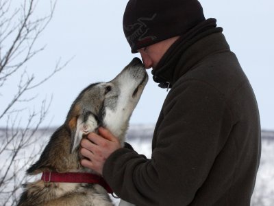 Huskyliebe