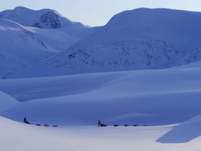 Glisse des traîneaux en blanche Laponie