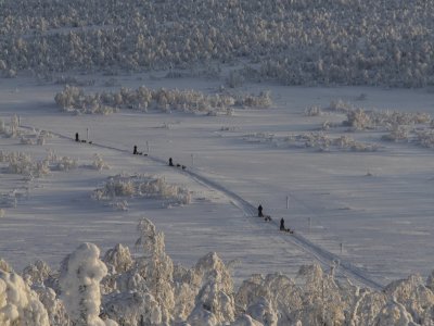 Avancée des traîneaux dans la lumière du soir