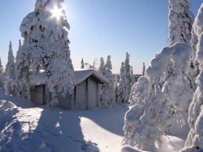 Tief verschneite Blockhütte