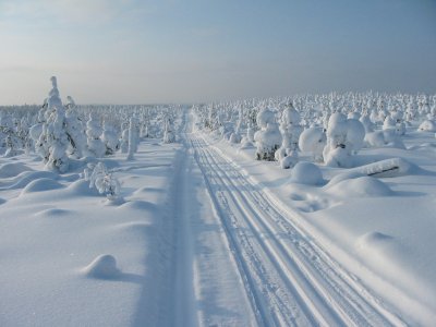 Frische Spuren auf der Kalevala Tour
