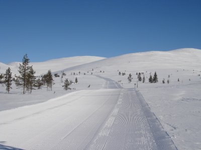 Piste de ski dans le parc national