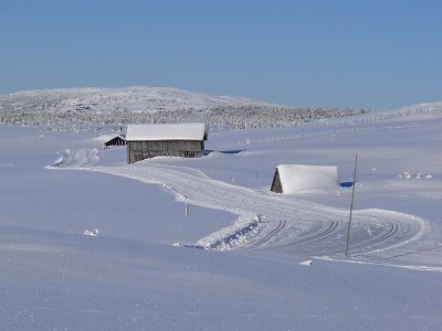 Tra Pellestova e Nordsetter