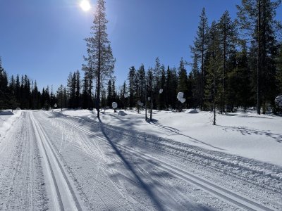 Springtime in Lapland