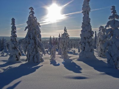 Lappland im Winterkleid