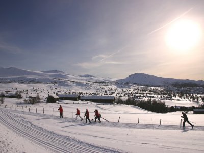 Die Abensonne ruft