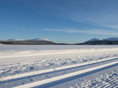 Fraîcheur matinale