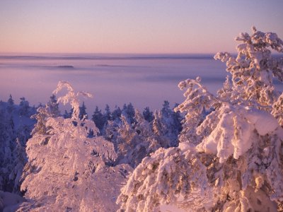 Nebelmystik in Ruka