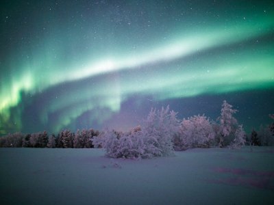 La meraviglia della natura notturna