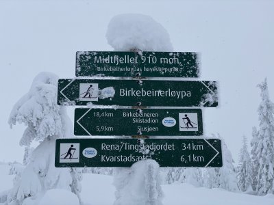 Norvegia: Paradiso dello sci di fondo