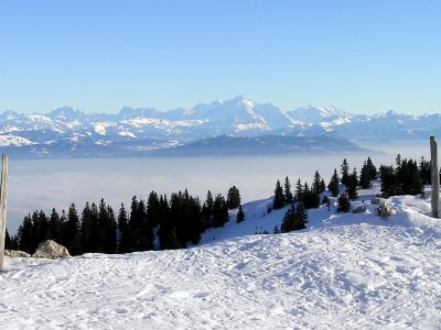 Vista sulle montagne dell' Oberland Bernese