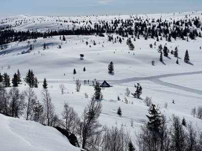 Grenzenlose Natur
