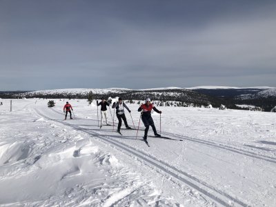 Across Lapland's North