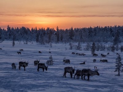 Rencontre avec la faune locale