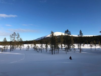 Il monte Ylläs!