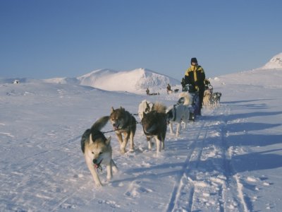 Huskyfreude auf dem Fjell