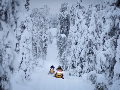 Fahrt durch das Winterzauberland