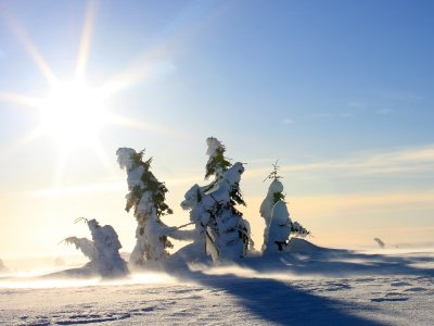 Spiel von Wind und Sonne