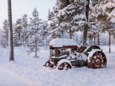 Der wahre Winter