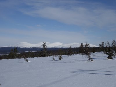 Le calme et la beauté du parc national Pallas
