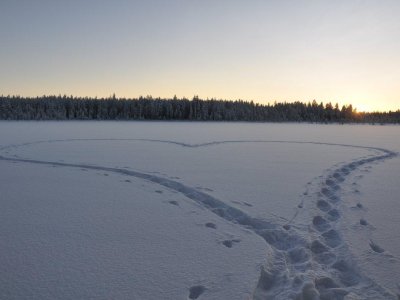 The heart of the winter