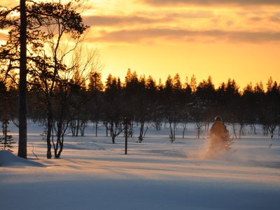 Der Sonne entgegen