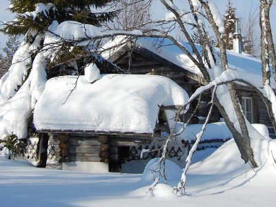 Cabane de trappeur