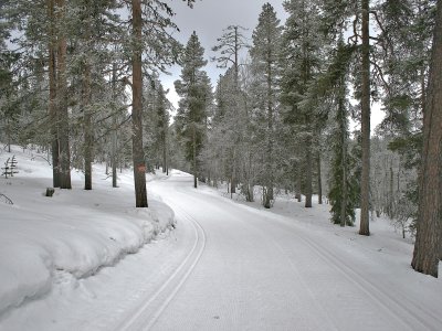 Lapponia Loipen