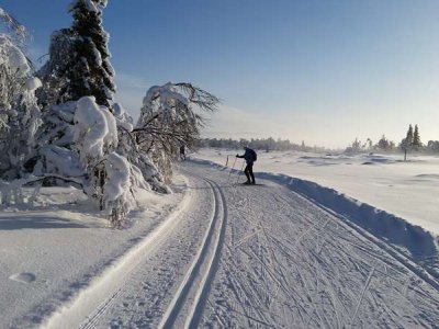 Une nature sauvage et bien préservée